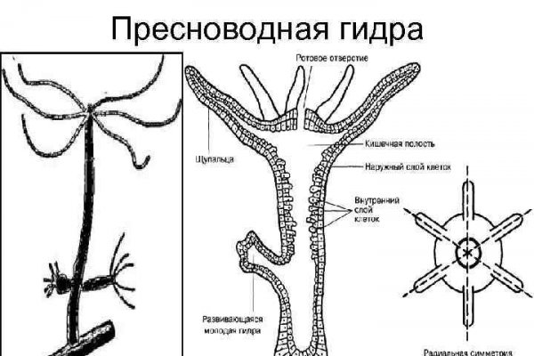 Kraken tor ссылка онлайн